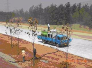 2009年南京某高速公路边坡绿化