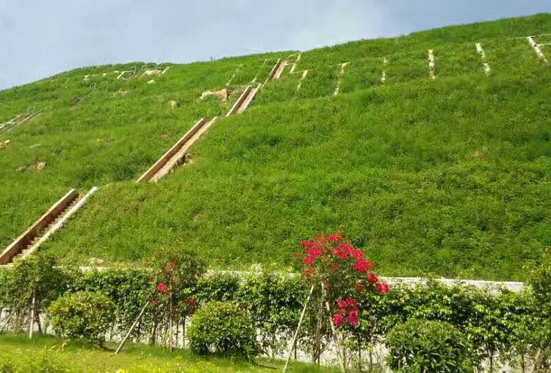 路基边坡坡度对边坡绿化工程的影响